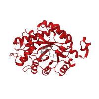 The deposited structure of PDB entry 3krz contains 4 copies of CATH domain 3.20.20.70 (TIM Barrel) in NADH:flavin oxidoreductase/NADH oxidase N-terminal domain-containing protein. Showing 1 copy in chain A.