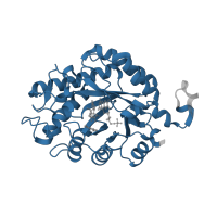 The deposited structure of PDB entry 3krz contains 4 copies of Pfam domain PF00724 (NADH:flavin oxidoreductase / NADH oxidase family) in NADH:flavin oxidoreductase/NADH oxidase N-terminal domain-containing protein. Showing 1 copy in chain A.