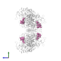1,4,5,6-TETRAHYDRONICOTINAMIDE ADENINE DINUCLEOTIDE in PDB entry 3krz, assembly 1, side view.