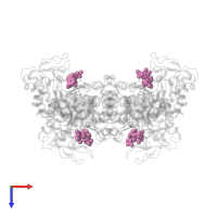 1,4,5,6-TETRAHYDRONICOTINAMIDE ADENINE DINUCLEOTIDE in PDB entry 3krz, assembly 1, top view.