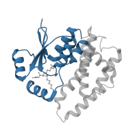 The deposited structure of PDB entry 3ktl contains 2 copies of CATH domain 3.40.30.10 (Glutaredoxin) in Glutathione S-transferase A1. Showing 1 copy in chain A.