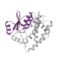 The deposited structure of PDB entry 3ktl contains 2 copies of Pfam domain PF02798 (Glutathione S-transferase, N-terminal domain) in Glutathione S-transferase A1. Showing 1 copy in chain A.