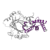 The deposited structure of PDB entry 3kv9 contains 1 copy of Pfam domain PF17811 (Jumonji helical domain) in Lysine-specific demethylase 7A. Showing 1 copy in chain A.