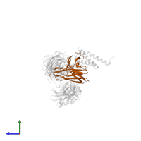 Complement C3c alpha' chain fragment 1 in PDB entry 3l3o, assembly 1, side view.