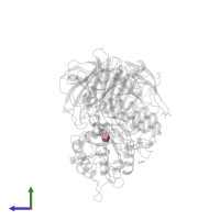 2-acetamido-2-deoxy-beta-D-glucopyranose in PDB entry 3l4x, assembly 1, side view.