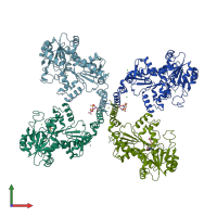 PDB entry 3l7k coloured by chain, front view.