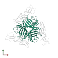 Adenoviral fibre protein knob domain-containing protein in PDB entry 3l89, assembly 1, front view.