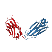 The deposited structure of PDB entry 3l95 contains 4 copies of CATH domain 2.60.40.10 (Immunoglobulin-like) in anti-NRR1 fab fragment light chain. Showing 2 copies in chain A.