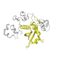 The deposited structure of PDB entry 3l95 contains 2 copies of CATH domain 3.30.70.3310 (Alpha-Beta Plaits) in Notch 1 extracellular truncation. Showing 1 copy in chain C [auth X].