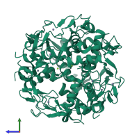 Homo dodecameric assembly 1 of PDB entry 3ld0 coloured by chemically distinct molecules, side view.