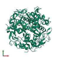 Homo dodecameric assembly 2 of PDB entry 3ld0 coloured by chemically distinct molecules, front view.