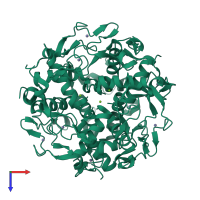 Homo dodecameric assembly 2 of PDB entry 3ld0 coloured by chemically distinct molecules, top view.