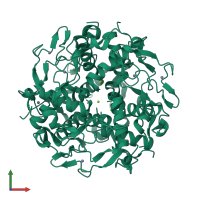 Homo dodecameric assembly 4 of PDB entry 3ld0 coloured by chemically distinct molecules, front view.