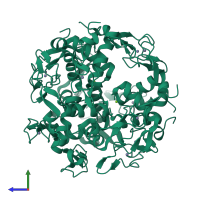 Homo dodecameric assembly 4 of PDB entry 3ld0 coloured by chemically distinct molecules, side view.