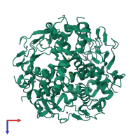 Homo dodecameric assembly 4 of PDB entry 3ld0 coloured by chemically distinct molecules, top view.