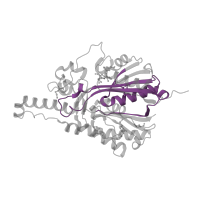 The deposited structure of PDB entry 3led contains 2 copies of Pfam domain PF08545 (3-Oxoacyl-[acyl-carrier-protein (ACP)] synthase III) in 3-oxoacyl-acyl carrier protein synthase III. Showing 1 copy in chain A.