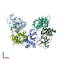 PDB entry 3llr coloured by chain, front view.