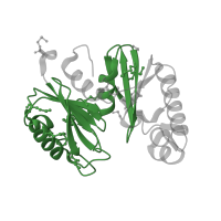 The deposited structure of PDB entry 3lm2 contains 2 copies of Pfam domain PF00480 (ROK family) in Polyphosphate glucokinase. Showing 1 copy in chain A.