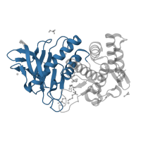 The deposited structure of PDB entry 3ls7 contains 1 copy of CATH domain 3.10.170.10 (Elastase; domain 1) in Thermolysin. Showing 1 copy in chain A.