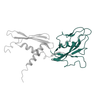 The deposited structure of PDB entry 3lu0 contains 2 copies of Pfam domain PF01000 (RNA polymerase Rpb3/RpoA insert domain) in DNA-directed RNA polymerase subunit alpha. Showing 1 copy in chain A.