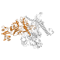 The deposited structure of PDB entry 3lu0 contains 1 copy of Pfam domain PF04563 (RNA polymerase beta subunit) in DNA-directed RNA polymerase subunit beta. Showing 1 copy in chain C.