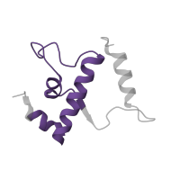 The deposited structure of PDB entry 3lu0 contains 1 copy of Pfam domain PF01192 (RNA polymerase Rpb6 ) in DNA-directed RNA polymerase subunit omega. Showing 1 copy in chain E.