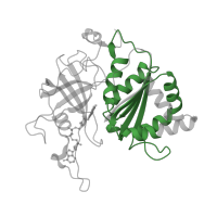 The deposited structure of PDB entry 3lvb contains 1 copy of Pfam domain PF00175 (Oxidoreductase NAD-binding domain) in ferredoxin--NADP(+) reductase. Showing 1 copy in chain A.