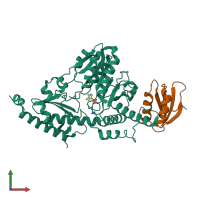 PDB entry 3lvk coloured by chain, front view.