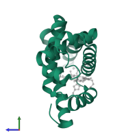 Myoglobin in PDB entry 3m3a, assembly 1, side view.