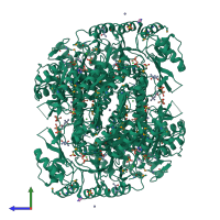 Homo hexameric assembly 1 of PDB entry 3mbj coloured by chemically distinct molecules, side view.