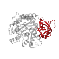 The deposited structure of PDB entry 3mdw contains 4 copies of CATH domain 2.30.40.10 (Urease, subunit C; domain 1) in Formimidoylglutamate deiminase. Showing 1 copy in chain A.