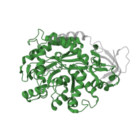 The deposited structure of PDB entry 3mdw contains 4 copies of Pfam domain PF01979 (Amidohydrolase family) in Formimidoylglutamate deiminase. Showing 1 copy in chain A.