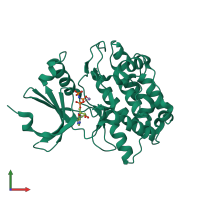 PDB entry 3mfu coloured by chain, front view.