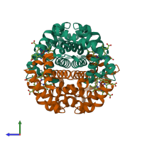 Hetero tetrameric assembly 1 of PDB entry 3mkb coloured by chemically distinct molecules, side view.