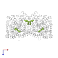 N-({(2E)-2-[(4-methylphenyl)methylidene]hydrazino}carbonothioyl)-beta-D-glucopyranosylamine in PDB entry 3ms2, assembly 1, top view.