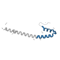 The deposited structure of PDB entry 3mtu contains 4 copies of Pfam domain PF03271 (EB1-like C-terminal motif) in Microtubule-associated protein RP/EB family member 1. Showing 1 copy in chain A.