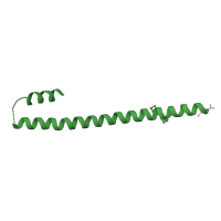 The deposited structure of PDB entry 3mtu contains 2 copies of CATH domain 1.20.5.400 (Single alpha-helices involved in coiled-coils or other helix-helix interfaces) in Capsid assembly scaffolding protein. Showing 1 copy in chain E.