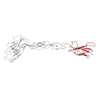 The deposited structure of PDB entry 3mx0 contains 2 copies of CATH domain 2.60.40.10 (Immunoglobulin-like) in Ephrin type-A receptor 2. Showing 1 copy in chain A.