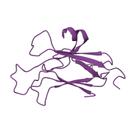 The deposited structure of PDB entry 3mx0 contains 2 copies of CATH domain 2.60.40.420 (Immunoglobulin-like) in Ephrin-A5. Showing 1 copy in chain B.