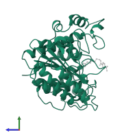 Histone deacetylase 8 in PDB entry 3mz3, assembly 1, side view.