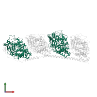 Tubulin alpha chain in PDB entry 3n2g, assembly 1, front view.