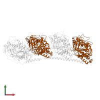 Tubulin beta chain in PDB entry 3n2g, assembly 1, front view.