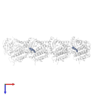 ethyl [(2R)-5-amino-2-methyl-3-phenyl-1,2-dihydropyrido[3,4-b]pyrazin-7-yl]carbamate in PDB entry 3n2g, assembly 1, top view.