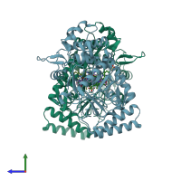 PDB entry 3n5y coloured by chain, side view.