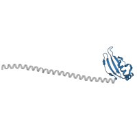 The deposited structure of PDB entry 3n7n contains 4 copies of CATH domain 3.90.1150.80 (Aspartate Aminotransferase, domain 1) in Monopolin complex subunit CSM1. Showing 1 copy in chain B.