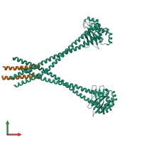 Hetero hexameric assembly 1 of PDB entry 3n7n coloured by chemically distinct molecules, front view.