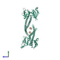 Hetero hexameric assembly 1 of PDB entry 3n7n coloured by chemically distinct molecules, side view.