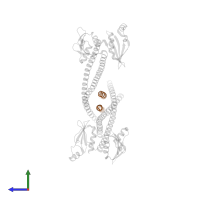 Monopolin complex subunit LRS4 in PDB entry 3n7n, assembly 1, side view.