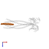 Monopolin complex subunit LRS4 in PDB entry 3n7n, assembly 1, top view.
