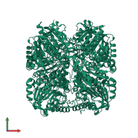 Guanidinopropionase in PDB entry 3niq, assembly 1, front view.